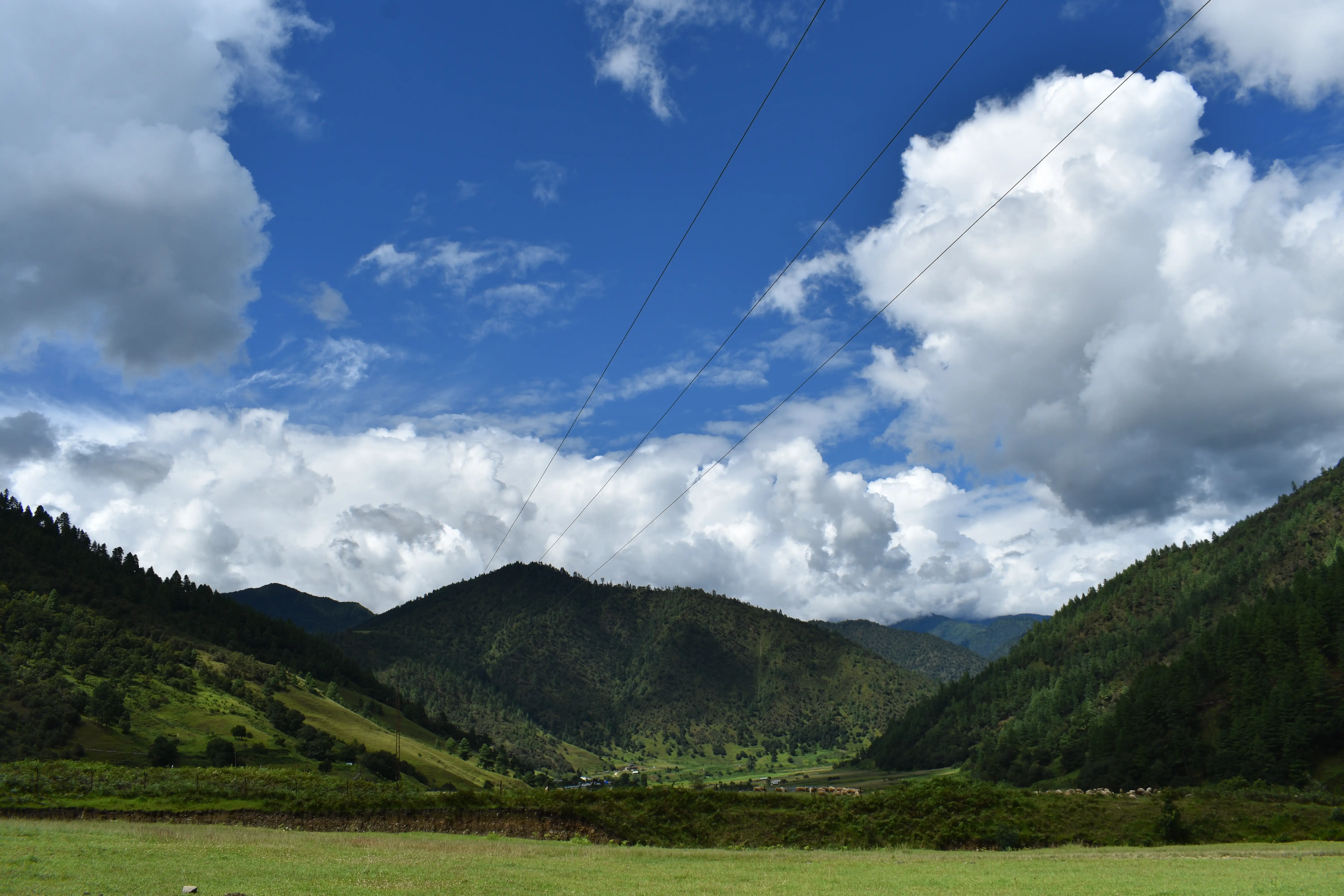 Sangti Valley pristine nature near Rupa